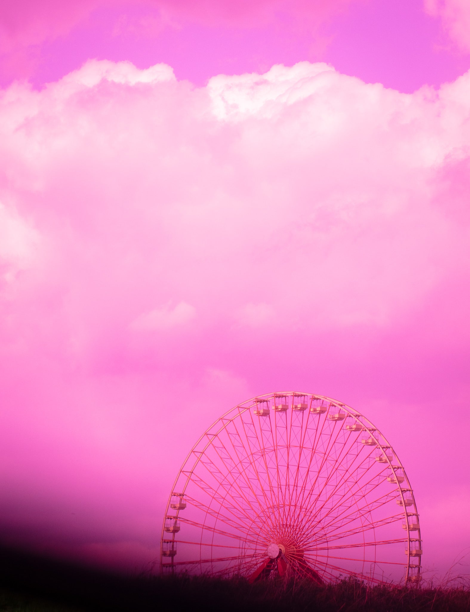 Ferris Wheel in Pink