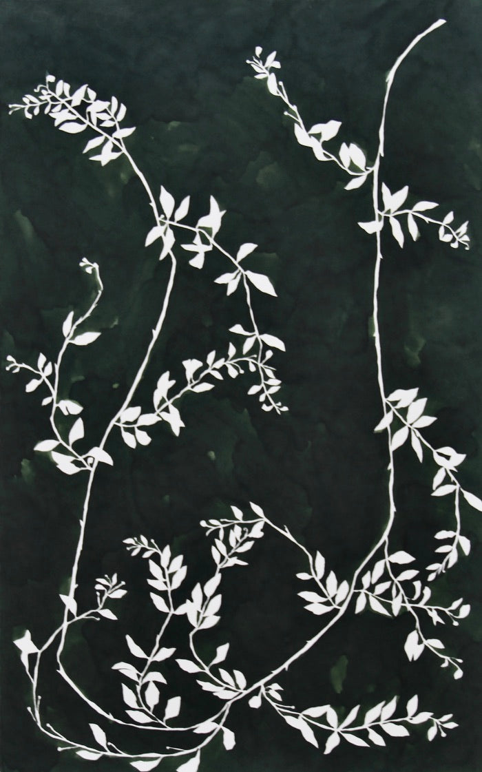 Vines Pen and Ink Diptych