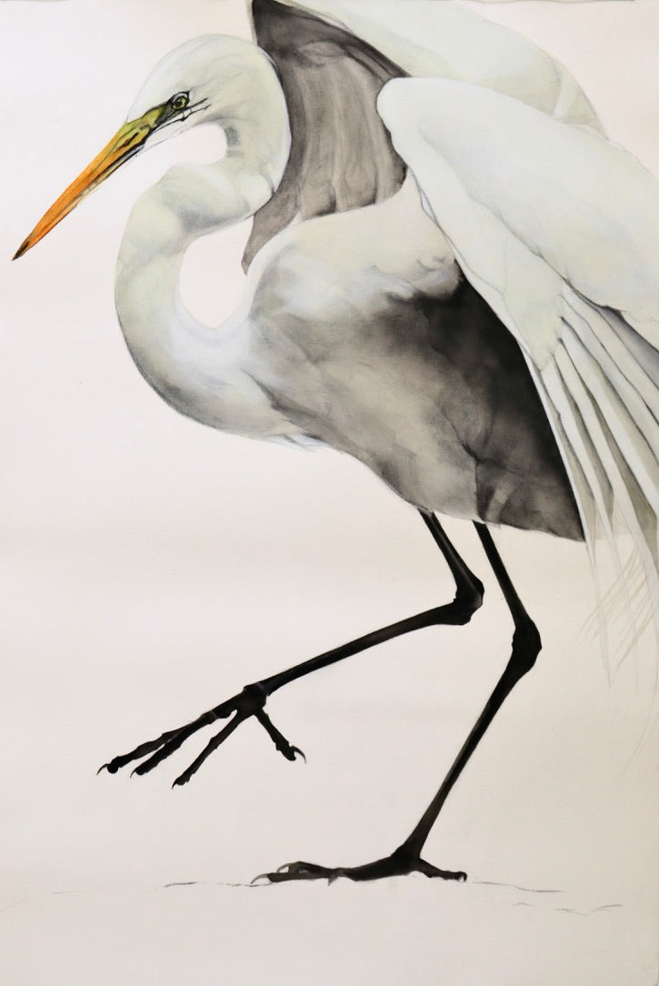 Egret Two