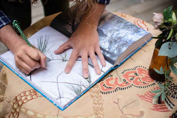 Beauty Every Day by Rinne Allen