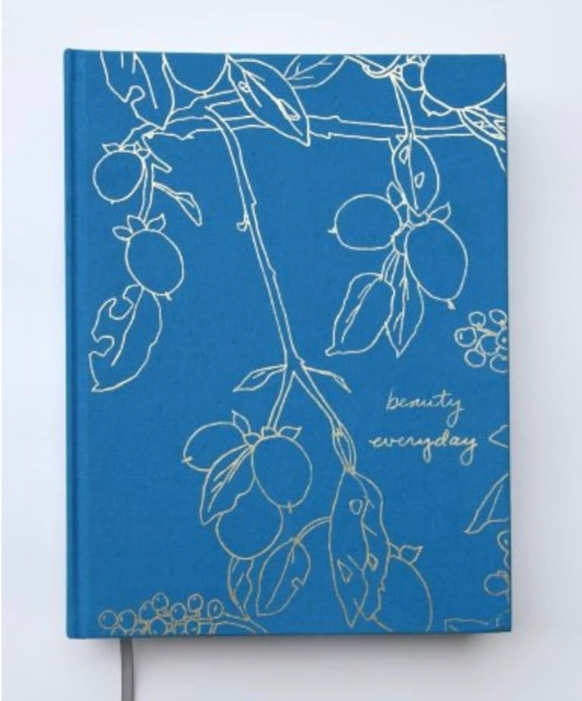 Beauty Every Day by Rinne Allen