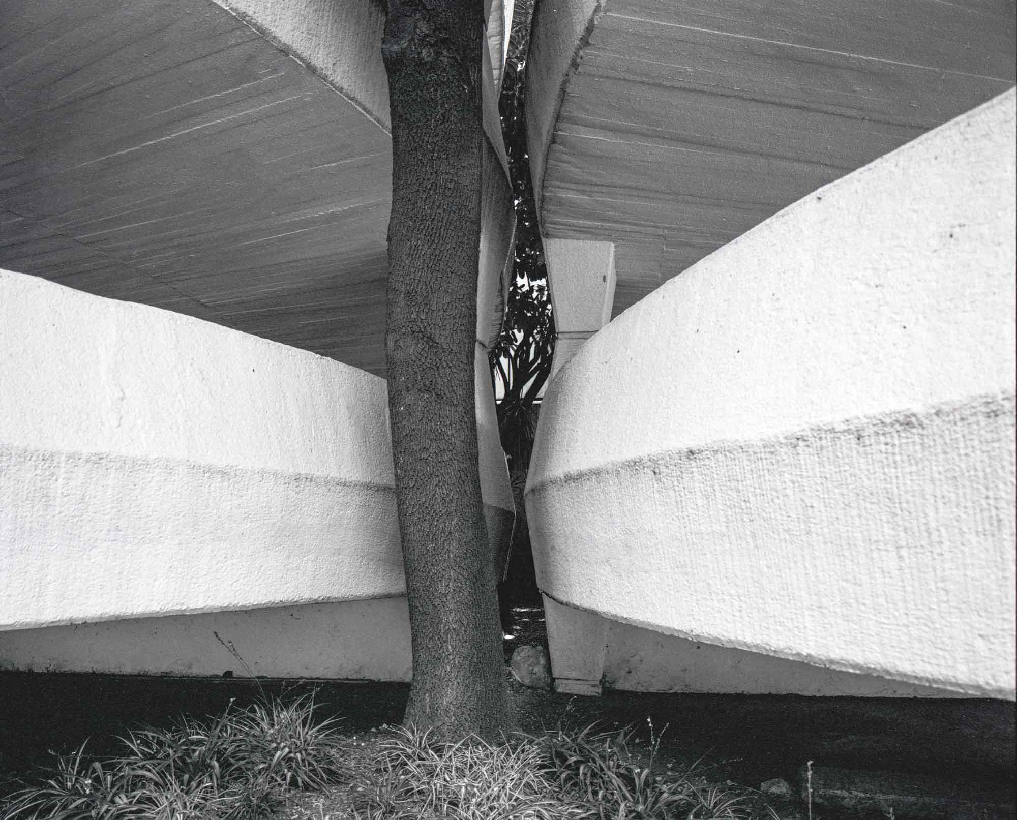 ARCHITECTURE