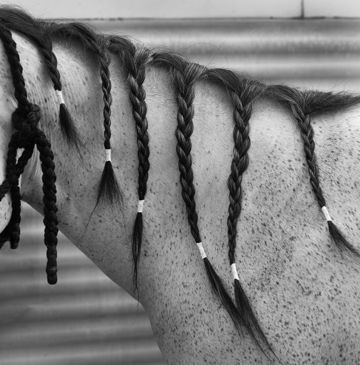 Hair Rope