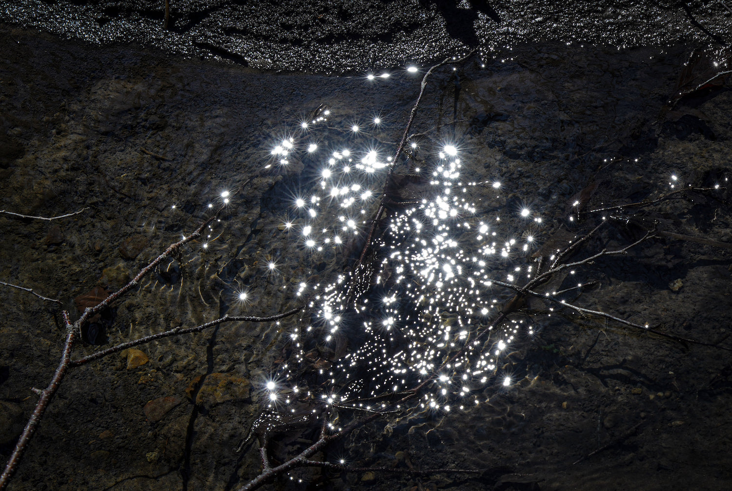 Creek