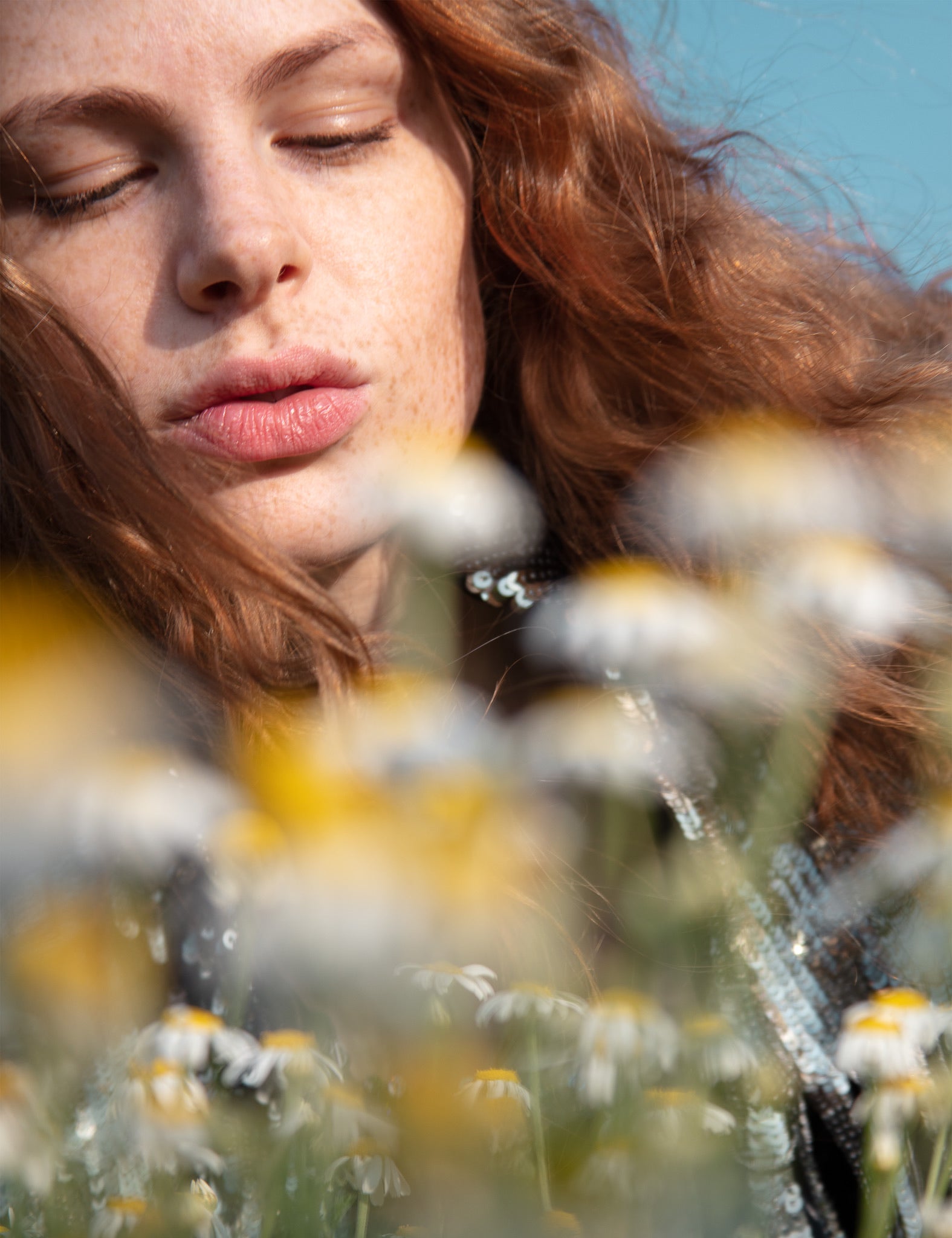 Planet Claire with Daisies