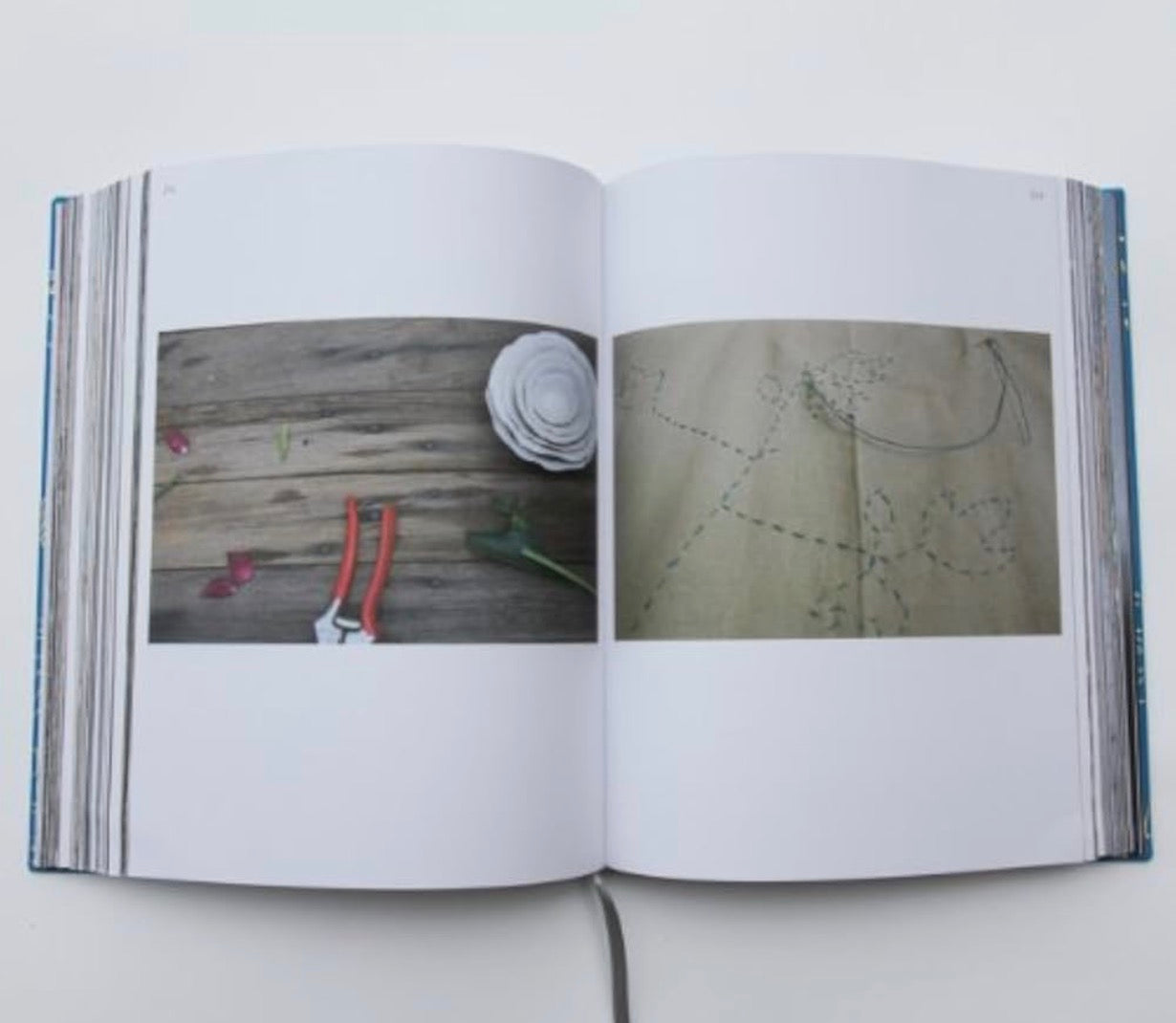 Beauty Every Day by Rinne Allen