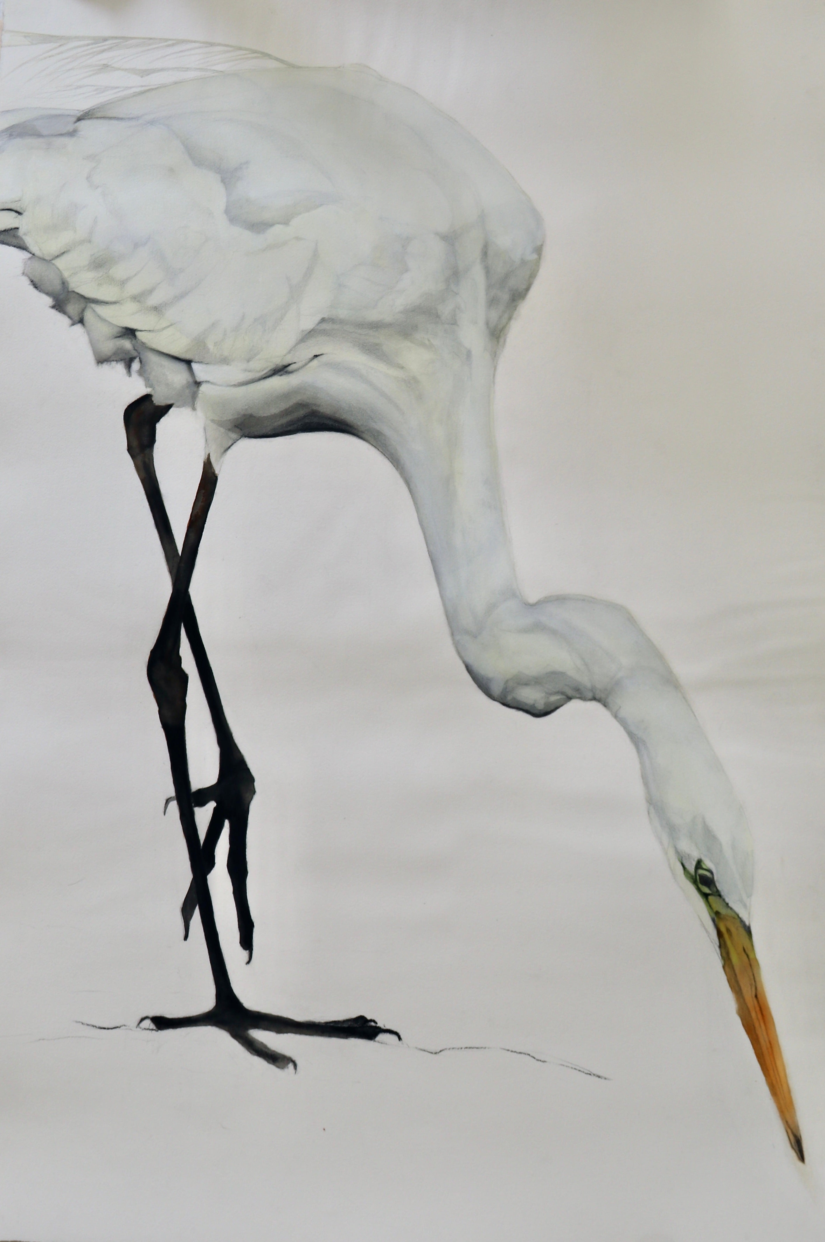 Egret One