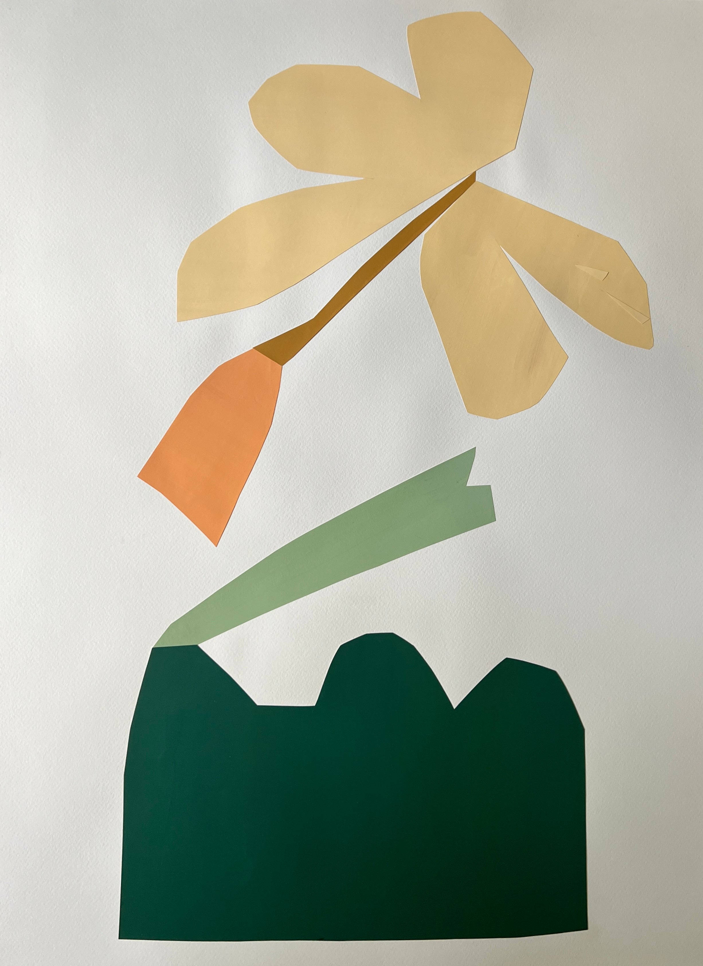 Acorn No. 7