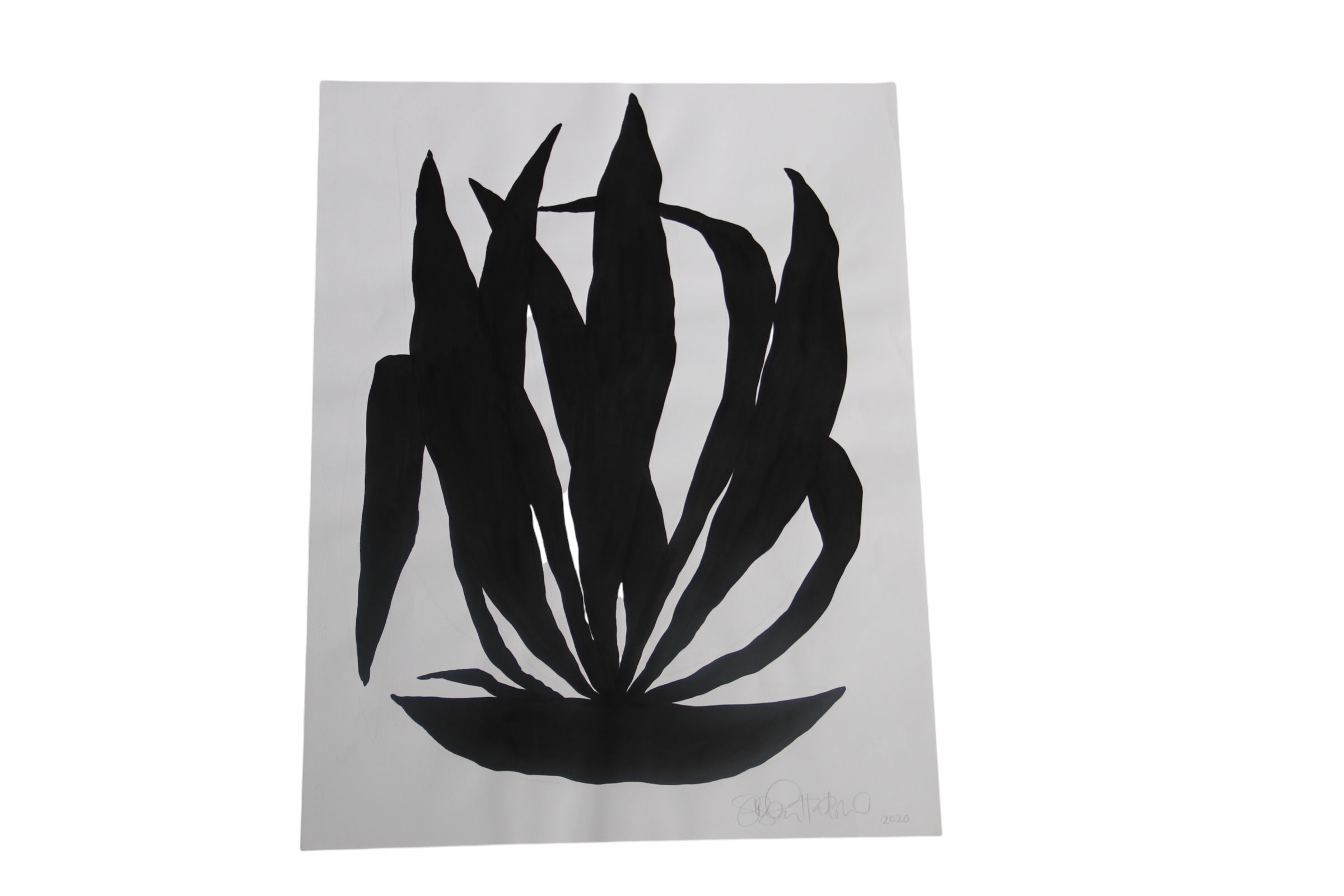 Botany Silhouette Two