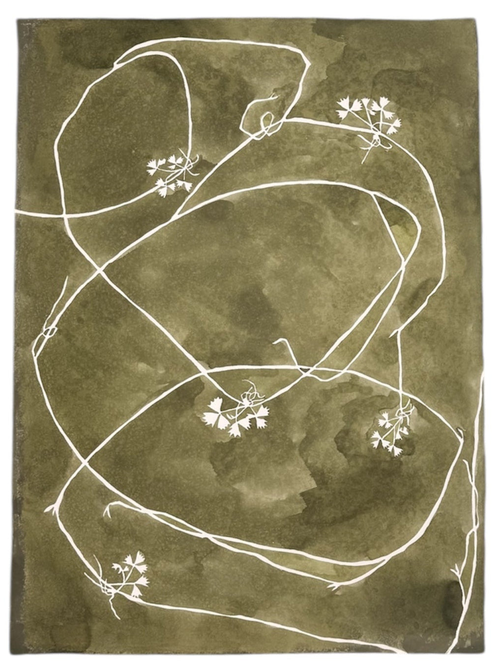 Olive Strawberry Vine Pen and Ink