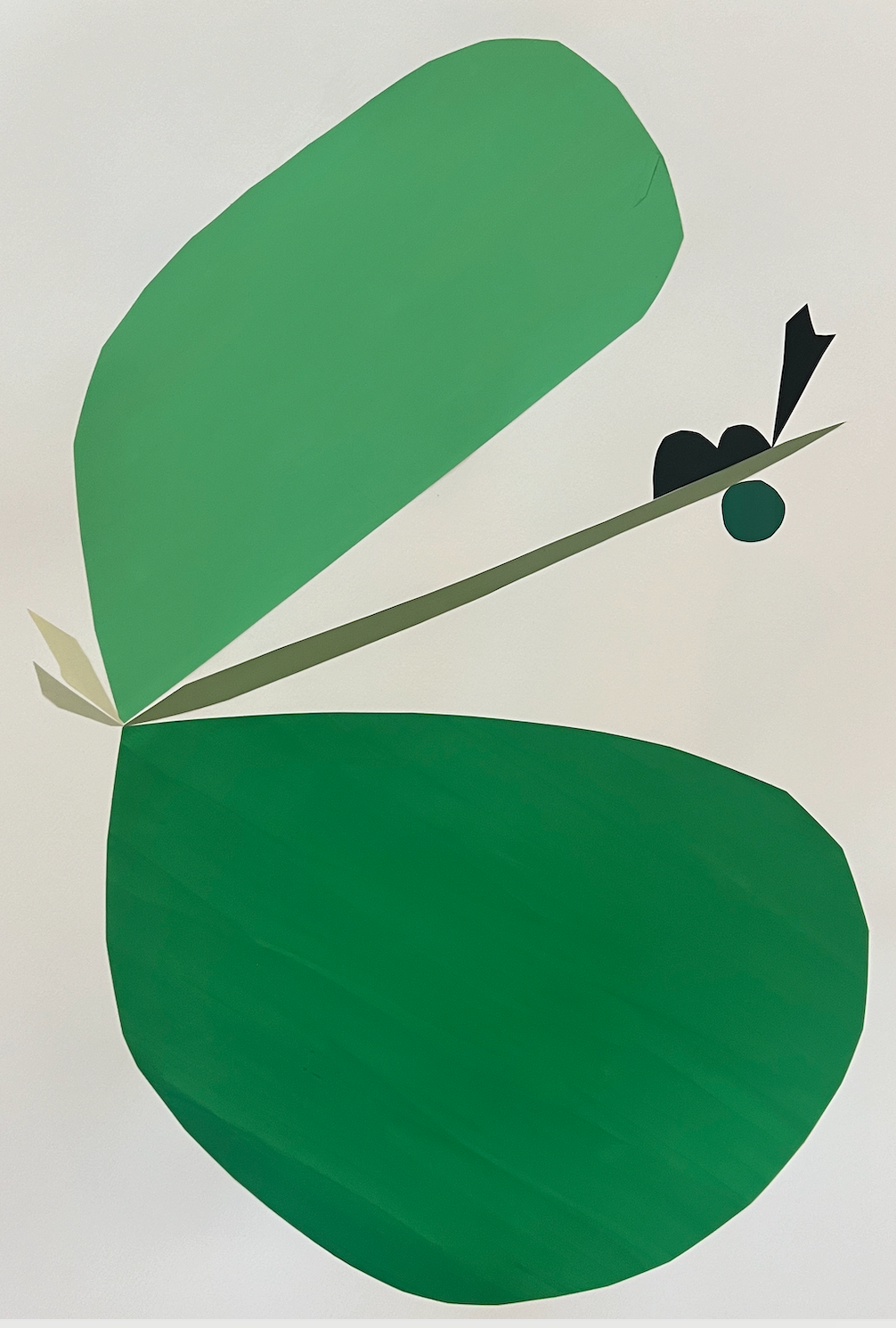 Acorn No. 12