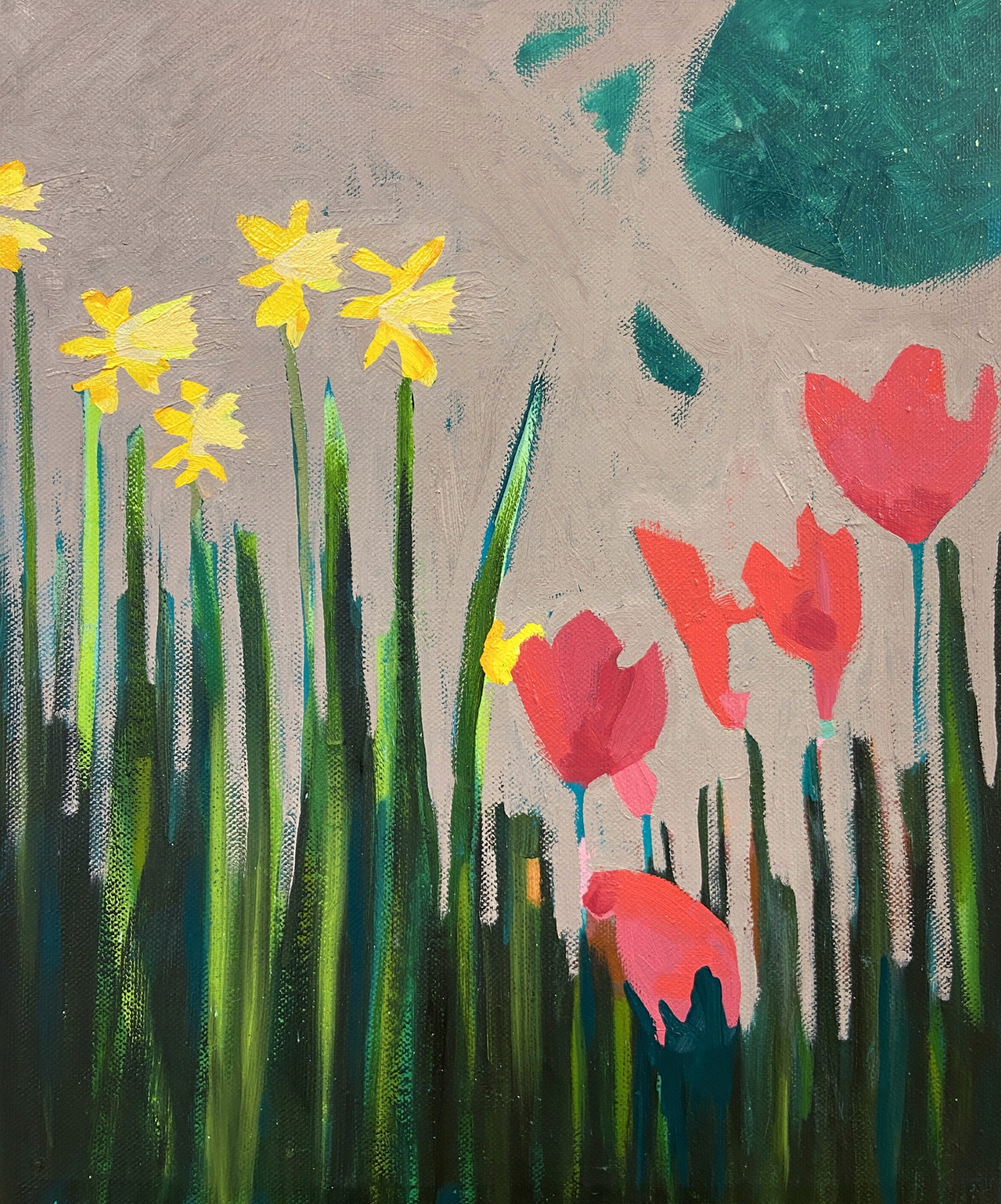 Daffodils