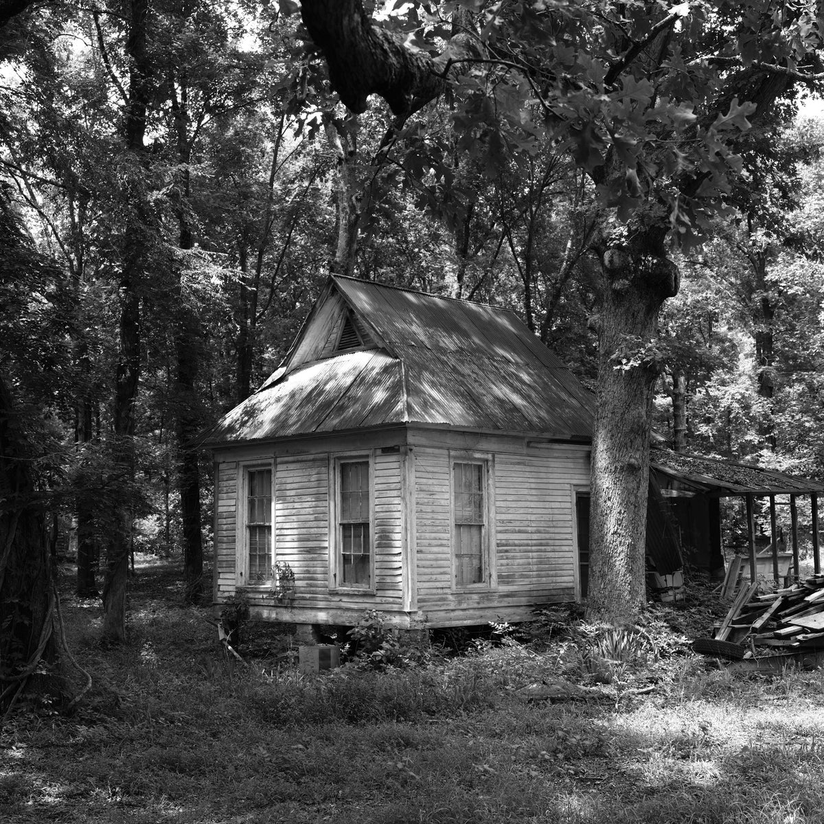 Dapple House