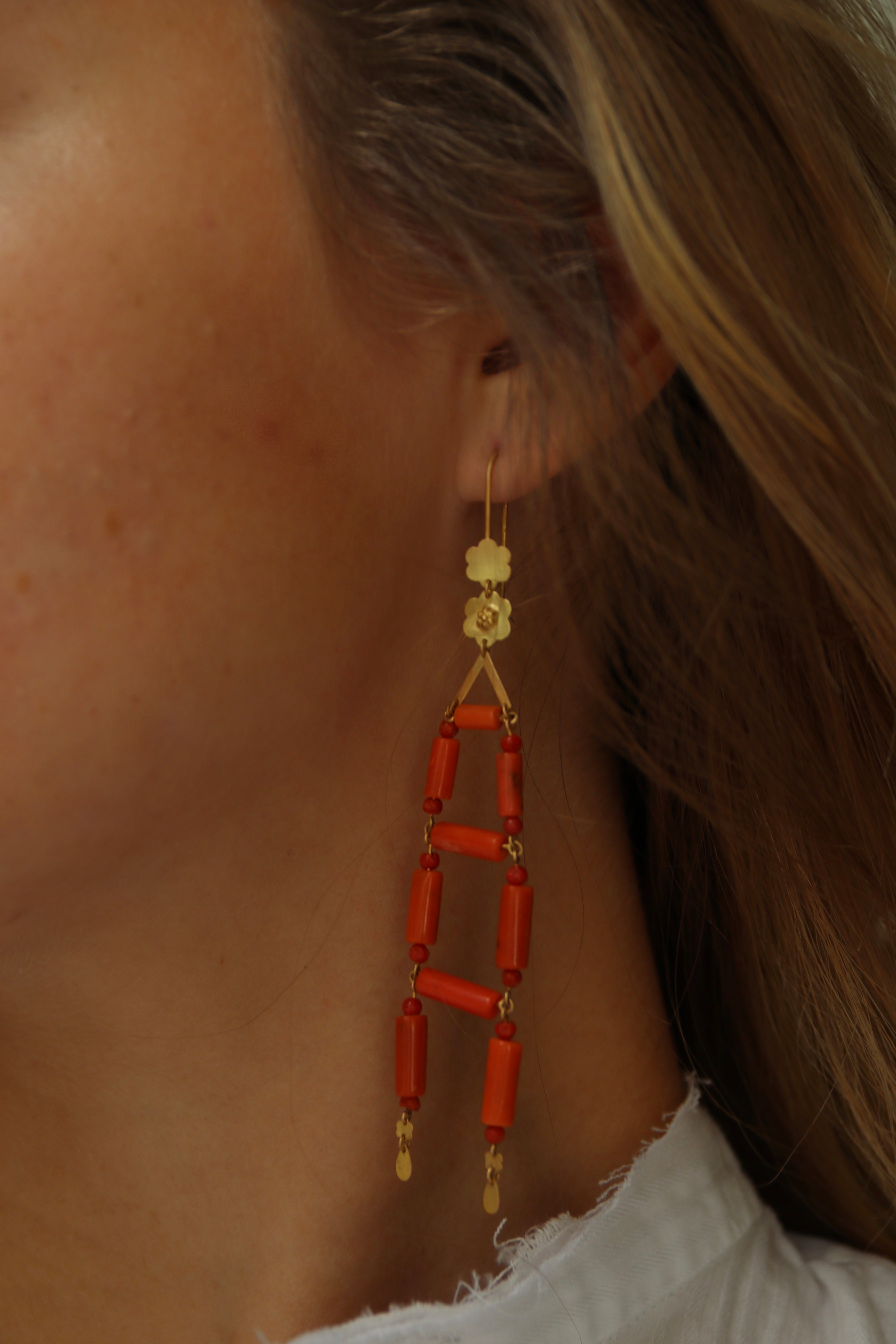 Coral Ladders
