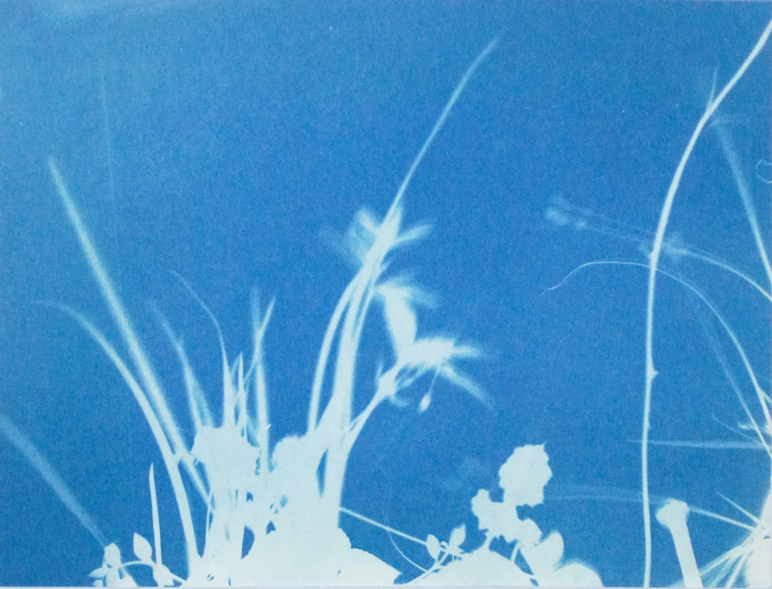Shadows 1