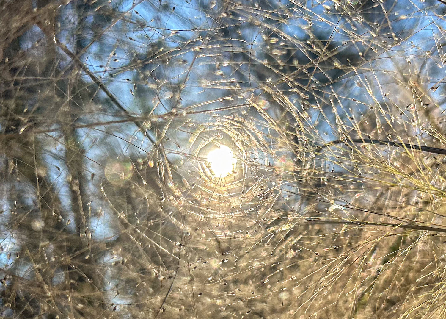 Winter Solstice