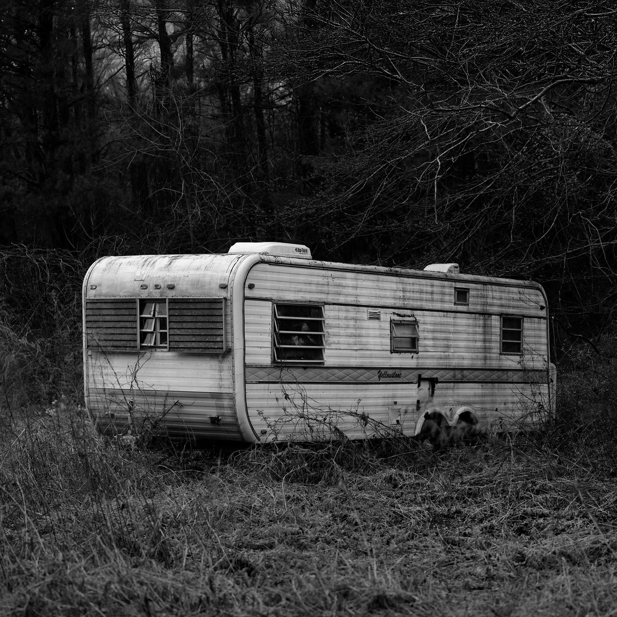 Trailer Forgotten